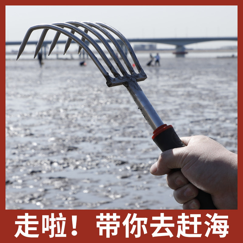 Catching the sea tool set clam rake stainless steel oyster hook seaside digging clam shell crab clam snail artifact