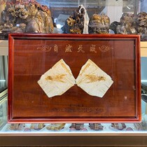 Liao Xi Chaoyang Ancient Bio Fossil lobster fossil solid wood mounting open office hanging decoration collection connoisseuristy