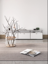UnicaFurn module combines the cabinet in ancient stainless steel in living room TV cabinet landing bucket