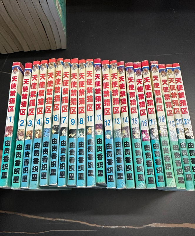 Old Edition Pocket-Sized Manga Angel Sanctuary Volumes 1-21 Complete Set by Yuki Kariya, Second-Hand Collectible Manga Book Old Edition Pocket-Sized Manga Angel Sanctuary Volumes 1-21 Complete Set by Yuki Kariya, Second-Hand Collectible Manga Book