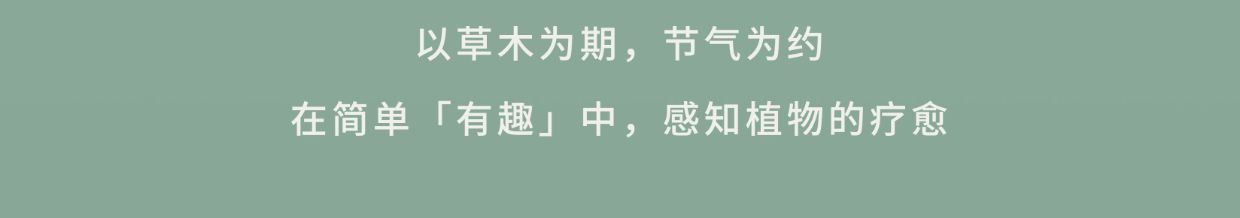 真不二大阿姨暖宮足浴包女生宮寒艾草泡腳包女士專用12包/盒