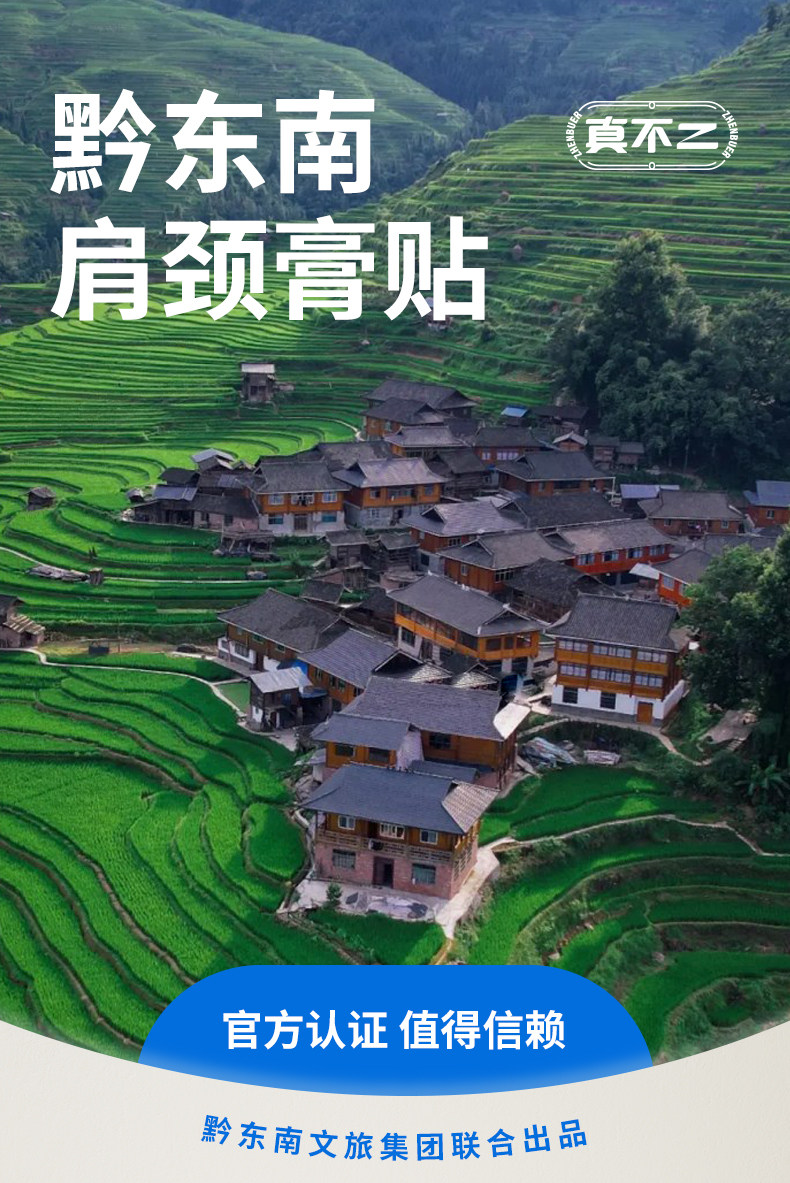 【中國直郵】 真不二 肩頸貼黔東南肩頸膏貼1盒 肩頸疼痛專用貼 艾草中草藥肩頸貼