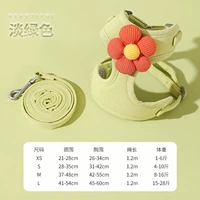 Светло-зеленый