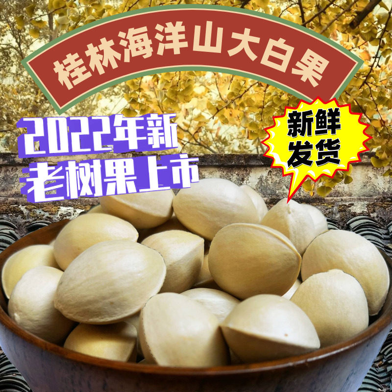 2023 Fresh great white fruit special grade gingko fruit with shell Guilin marine township old tree raw bacon white fruit kernel full-Taobao