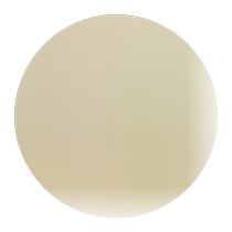 2023 fresh large ginkgo super-grade ginkgo fruit in shell Guilin Haiyang Township old tree raw fruit white nut full kernel