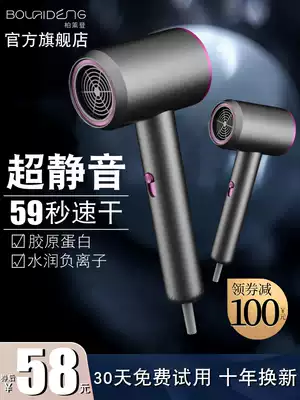 Hair dryer Household high-power hair salon hair salon negative ion hair care mute hair dryer tube hot and cold air does not hurt hair