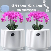 Два больших классических афинских древних фарфоровых белых (отправить поднос)