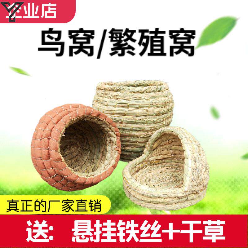 Parrot Nest Birds Nest Summer Grass Choreography Birds Nest Jade Birds and Bird Birds Tiger Leather Peony Propagation Intensify the Eight Gothic Wind