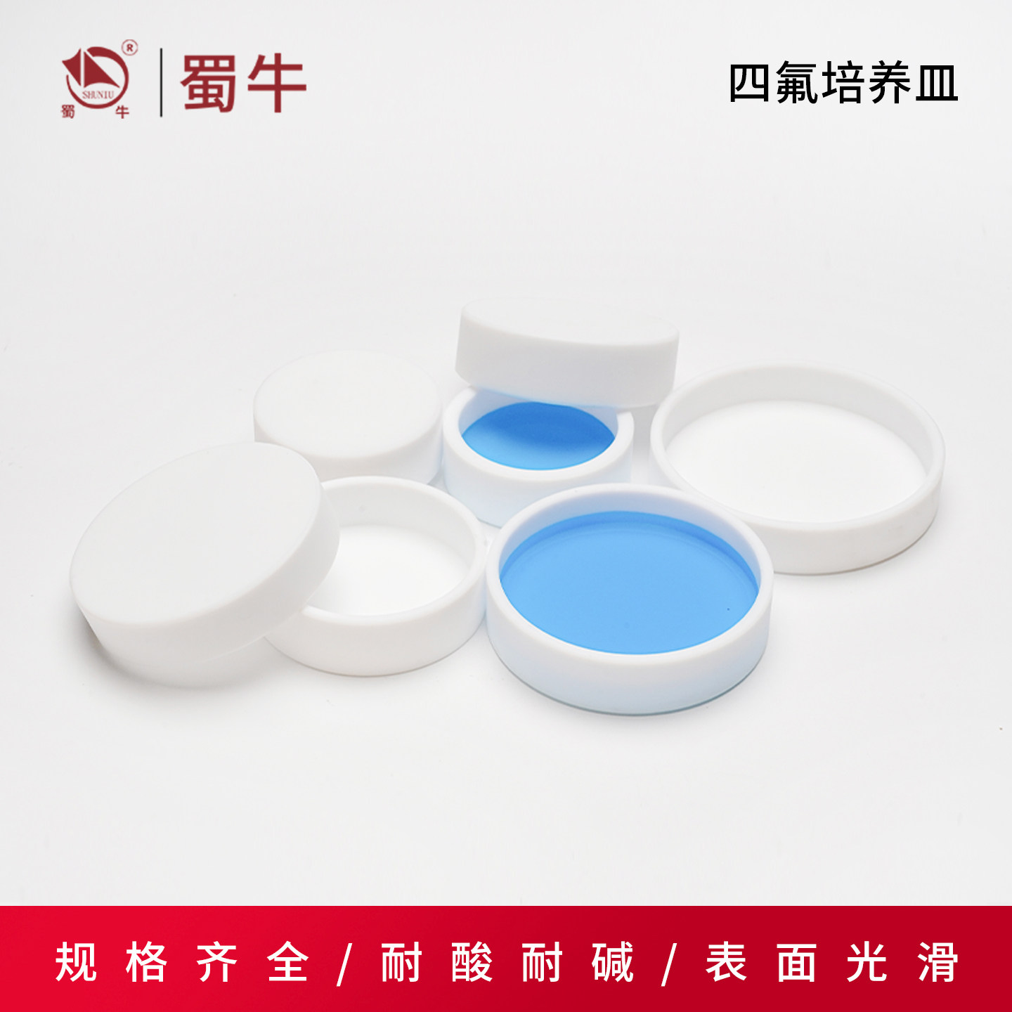 四氟培养皿 聚四氟乙烯细胞培养皿耐酸碱培养皿蒸发皿40-100mm