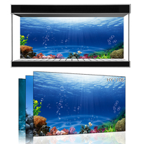 Beauty pet exhibition custom fish tank background Ocean Underwater World one rice sunshine sea fish tank mural HY1106