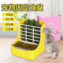 Rabbit Eating Box Anti-Pickpocket Feeder Dutch Pig Pet Bowl Fixed Anti-Eating Basin Two-in-one Dragon Cat Grass Rack
