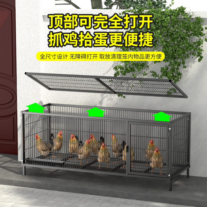 家用室外特大号鸡笼子推荐｜加密芦丁鸡笼实测：养鸡家禽必备神器！-宠物鸡-淘宝好物网