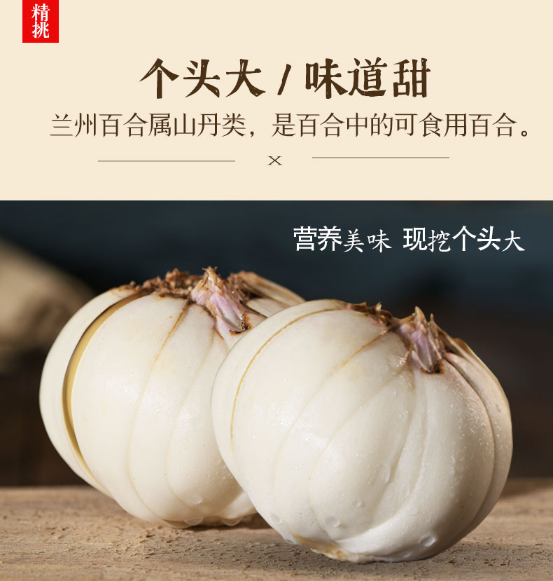 兰州鲜百合甘肃特产500g