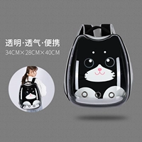 Откройте боковую капитану Black Cat