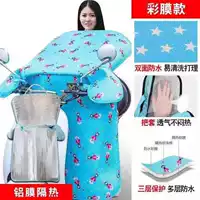 【Цвет маска】 -A Blue Girl