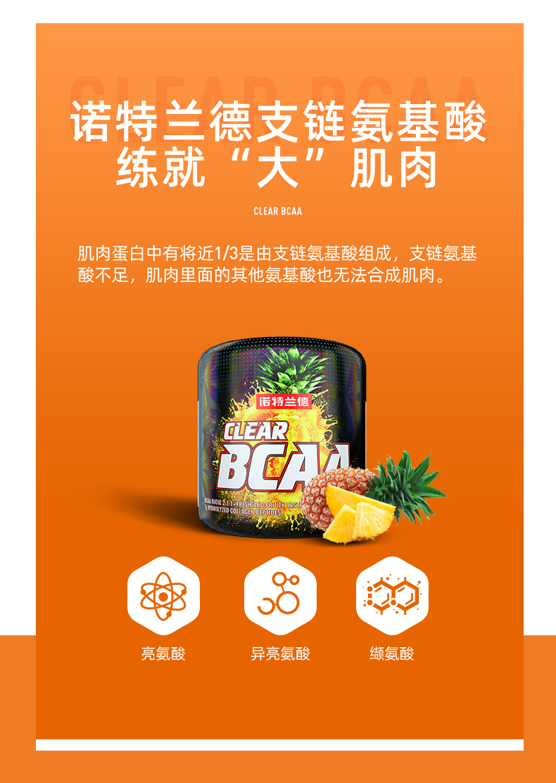 诺特兰德 支链氨基酸bcaa氨基酸健身补剂 150g/20次量 图2