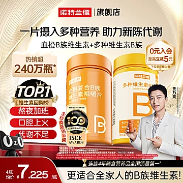 诺特兰德升级款多种维生素B族片72粒