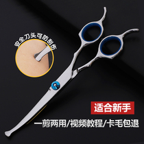 New Hands Safe Pets Beauty Scissors Dogs Special Hairy Bent Cut Dog Hair Tools Suit Professional Sheen Swoon