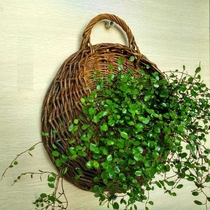 Creative wall hanging flower baskets rattan weaved straw and wicker flower pots wall hanging flower pots hanging baskets pothos flower pots wall decoration