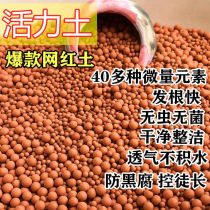 Multi-soil vitality soil lazy person soil succulent special granule nutrition breathable soil stone pavement ceramsite planting mixed soil