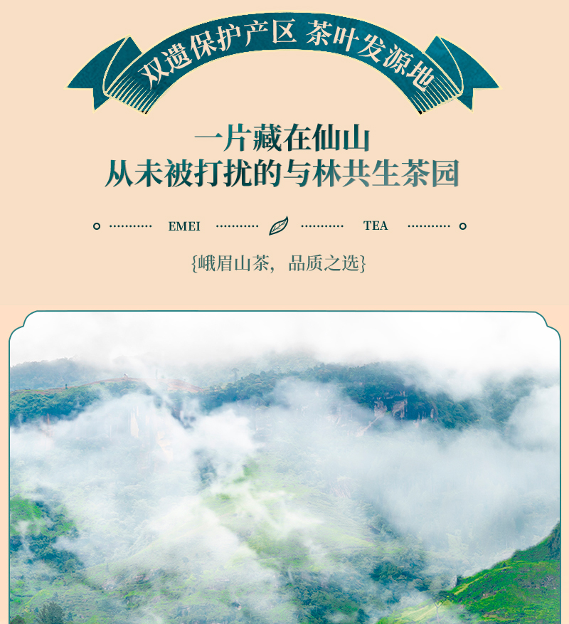 山水峨眉2021年明前新小叶苦丁茶