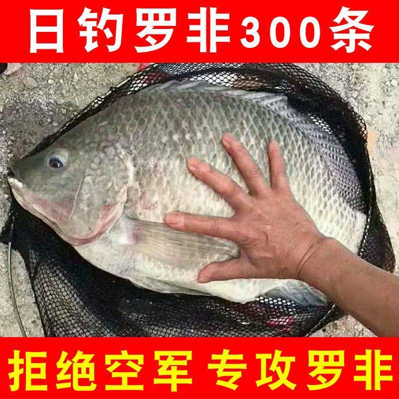 เหยื่อปลานิลอเนกประสงค์สำหรับการตกปลาป่าในบ่อสีดำ เหยื่อพิเศษสำหรับปลานิลขนาดใหญ่ สินค้าของแท้ มีกลิ่นคาวแรงจากมณฑลกวางตุ้งและกวางสี