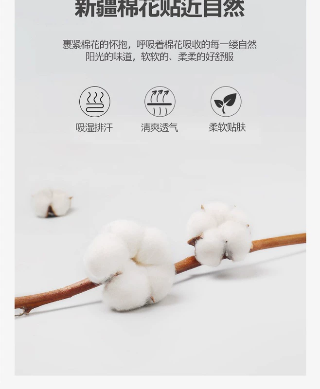 . Bộ ga trải giường chải một mảnh cotton dày hơn tấm trải giường ba mảnh cotton trải giường cố định chống trượt Bảo vệ Simmons - Trang bị Covers