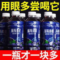 蓝莓汁饮料花青素瓶装整箱桑葚汁360ml*12 48瓶0脂肪复合果蔬汁