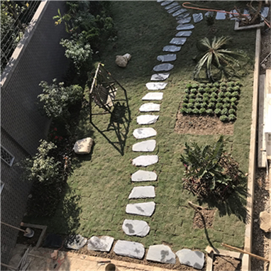 Outdoor Culture Stone Foot Pedal Garden Patio Entrance Decoration Imitation Marble Chalkboard Rock Anti Slip Tine Step Green Slate