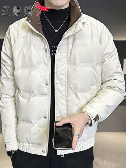 Red Dragonfly Stand-Up Collar down Jacket for Men, New Winter Casual Solid Color Warm Duck down Coat, Trendy Cold-Proof Outerwear for Men