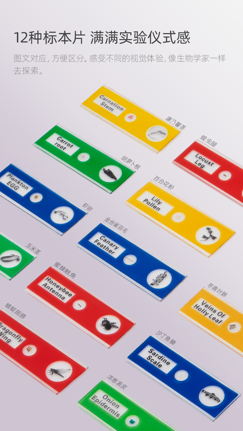 【中国直邮】Science can科学罐头 达尔文便携式显微镜 儿童户外探索观察(标本片*12)