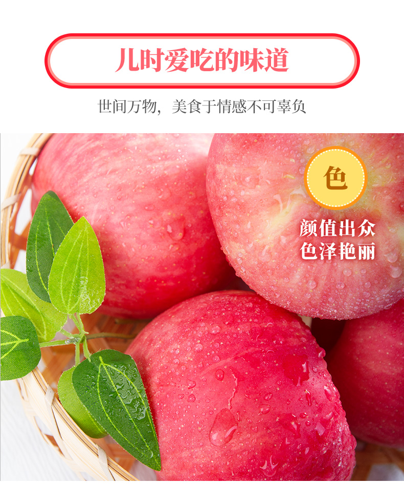 山东烟台 红富士苹果 净重5斤 单果75-80mm 图7