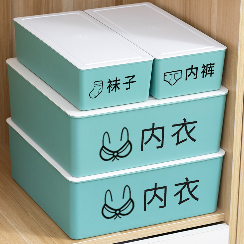 Lingerie containing box Underpants socks containing Divine Instrumental Wardrobe Drawer Divided box Plastic bra Home Three-in-one