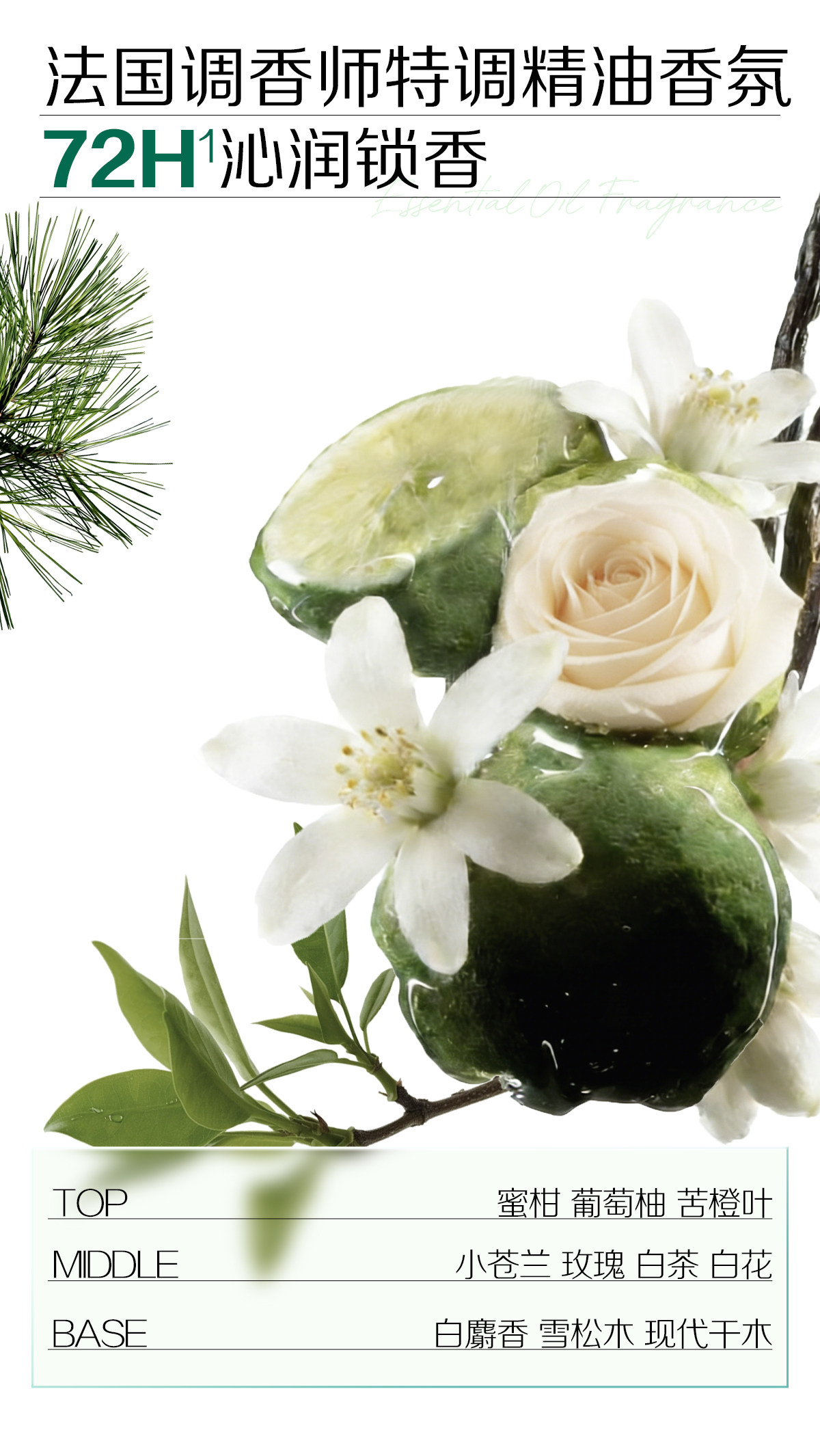 【中国直邮】 诗裴丝 免洗洗发巾 【散装】刘海款5片+5片常规 旅行 便携 控油 蓬松 止痒 留香 护发 防断发 功效型洗头巾