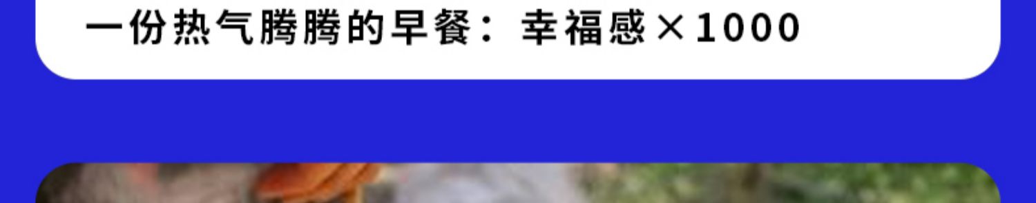 【河豚家族】无锡灌汤小笼包48个盒装