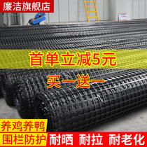 Geogrid plastic grid protective net Small hole chicken and duck fence fence fence isolation breeding mesh circle corn net