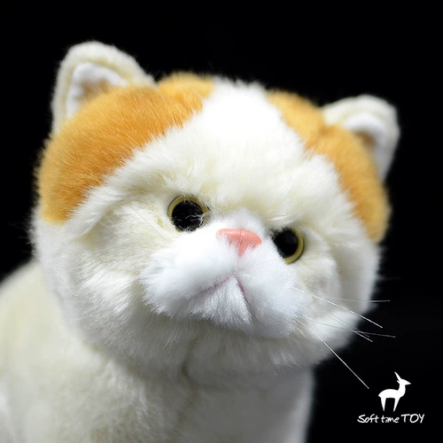 Самообслуживание шоппинга без клиентов по обслуживанию экзотическая короткошерстная плюшевая плюшевая игрушка с короткошерстной куклой персидской кошки
