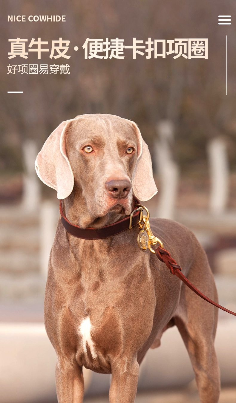 牡丹花開狗狗牛皮卡扣項圈牽引繩中型犬大型犬刻字定制真皮脖圈寵物用品 Yahoo奇摩拍賣