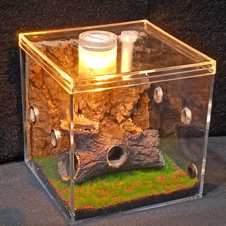 2026年新手养螳螂或蜘蛛，该选哪种观察盒才不踩坑？