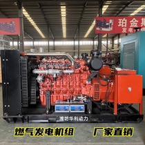 250kw Sinotruk natural gas generator gas power generation biogas power generation supports customized factory direct sales power generation good
