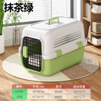 № M [Консигнационный фонд] (Отправить висящую миску+диагноз) Matcha Green