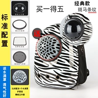 Зебра Полосы