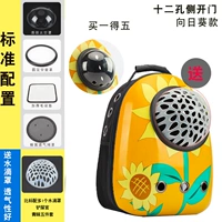 Подсолнечник