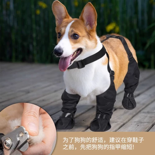 Пылезащитные штаны, обувь для выхода на улицу, водонепроницаемые нескользящие туфли, шнурок-держатель, гетры