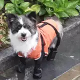 Пылезащитные штаны, обувь для выхода на улицу, водонепроницаемые нескользящие туфли, шнурок-держатель, гетры