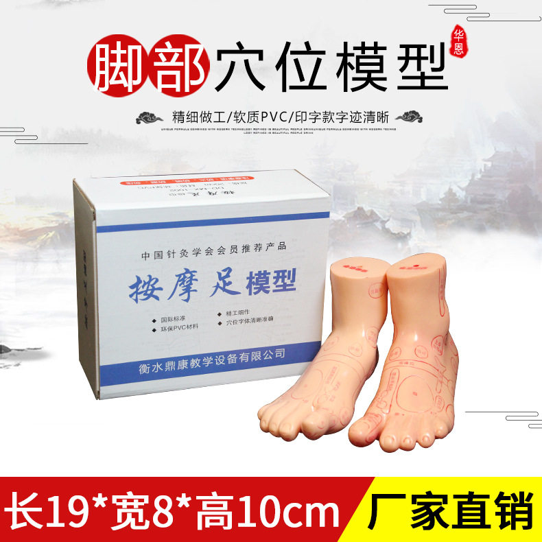 刻字足疗足部脚部足底经络穴位反射区图按摩推拿模型脚底点穴工具