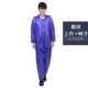 Purple Beef Deigon Dark Decuction [Set]