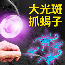 Professional photo scorpion lamp Scorpion special purple flashlight Outdoor super bright high power head-mounted charging headlamp