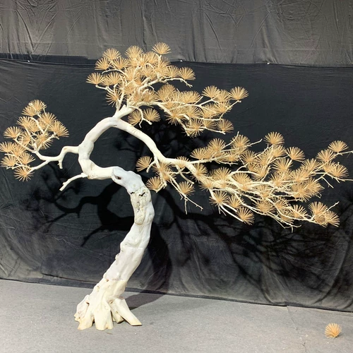 Большое моделирование кедрового понита торгового центра