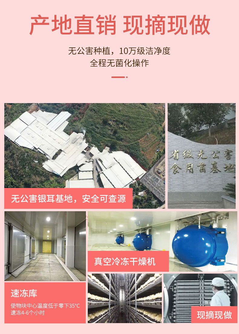 【拍两件】早餐力4盒红糖桂圆营养代餐360g